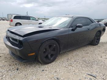  Salvage Dodge Challenger