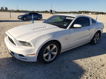  Salvage Ford Mustang