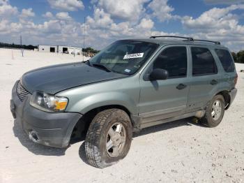  Salvage Ford Escape