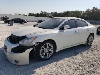  Salvage Nissan Maxima