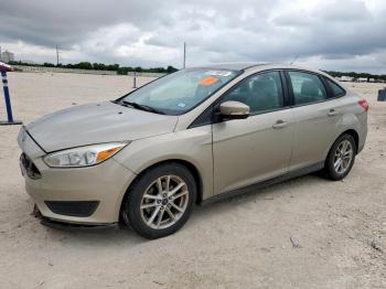  Salvage Ford Focus