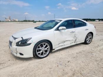  Salvage Nissan Maxima