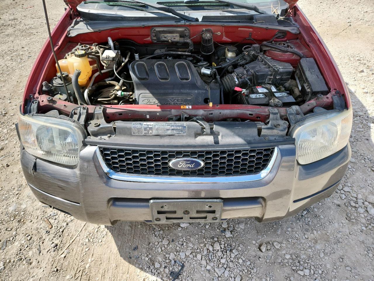 Ford Escape Xlt Image 8