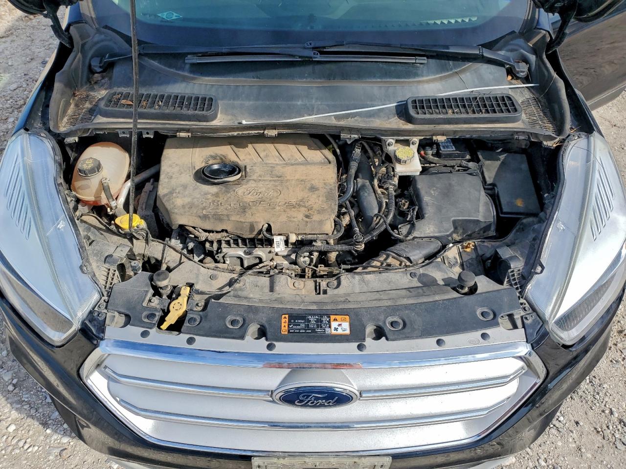 Ford Escape Se Image 13