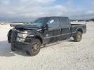 Ford F-250 Super Duty Image 1