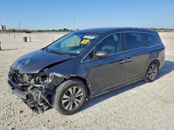  Salvage Honda Odyssey