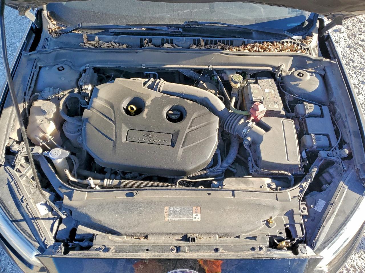 Ford Fusion Titanium Image 12