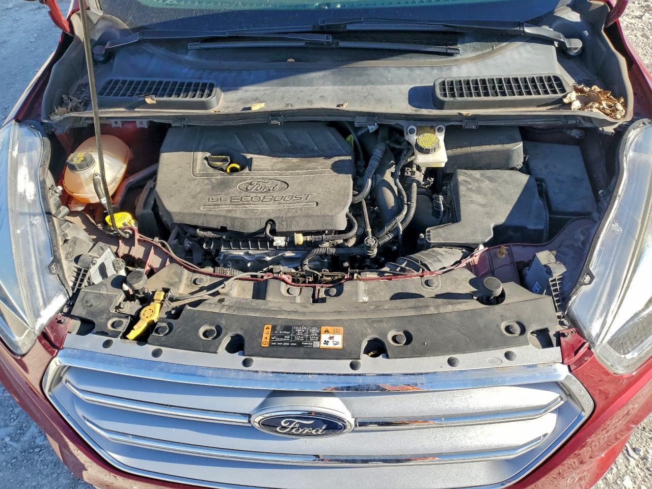 Ford Escape Sel Image 11