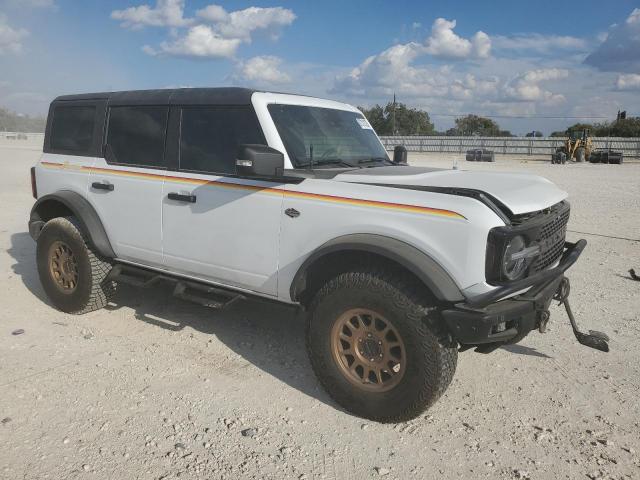 Ford Bronco Base Image 2