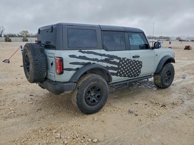 Ford Bronco Base Image 2